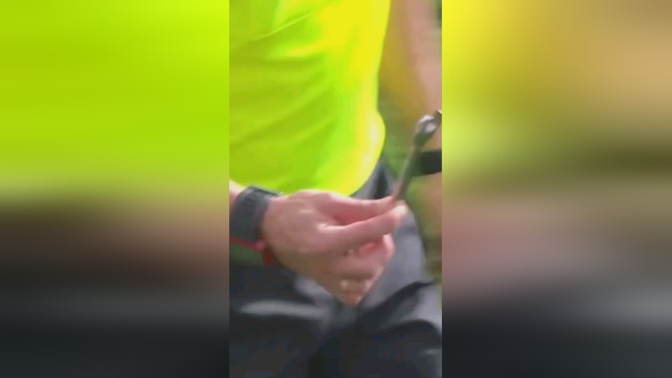 优势